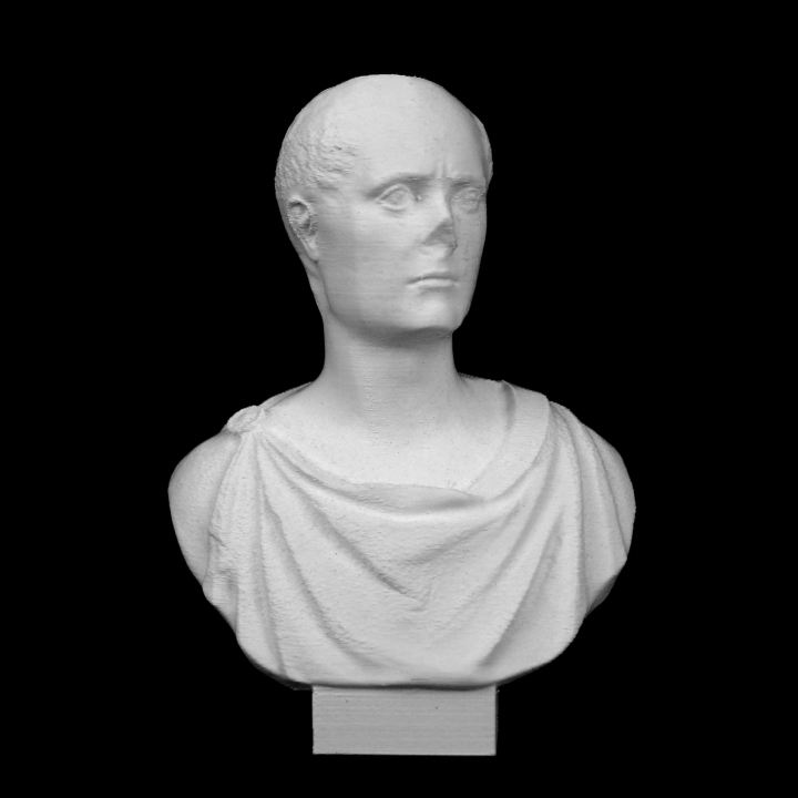 Cicero at The Louvre, Paris image