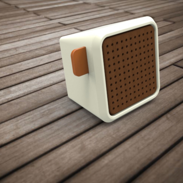 Mono Amplifier Speaker 1 image