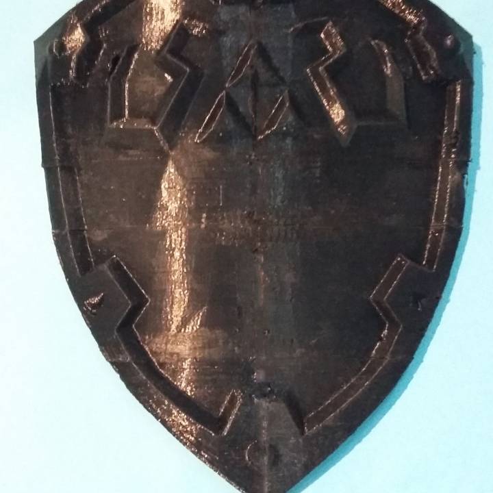 Hyrule shield, split image