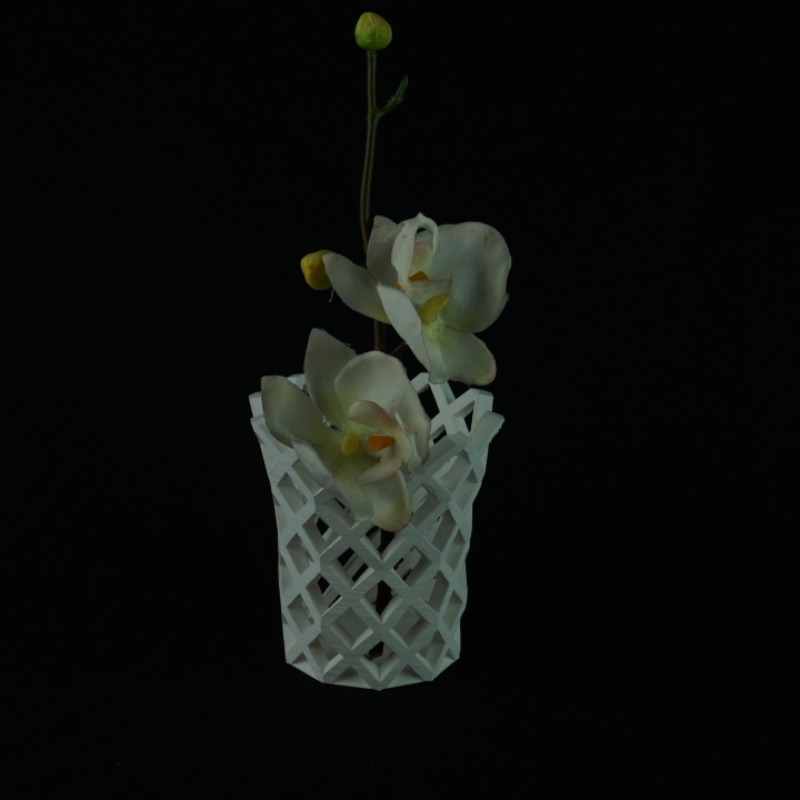 Vase X image