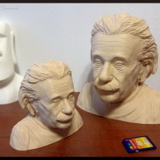 Picture of print of Einstein Bust (14K)