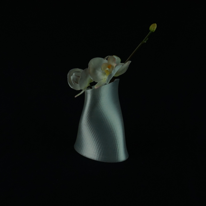 Twist vase image
