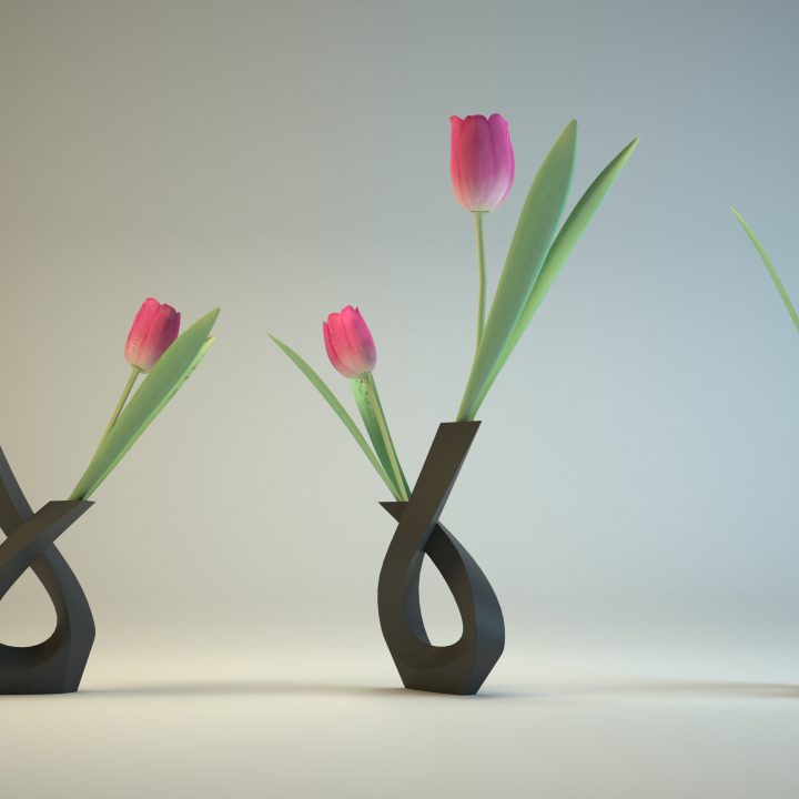 Modern Twin Vase image