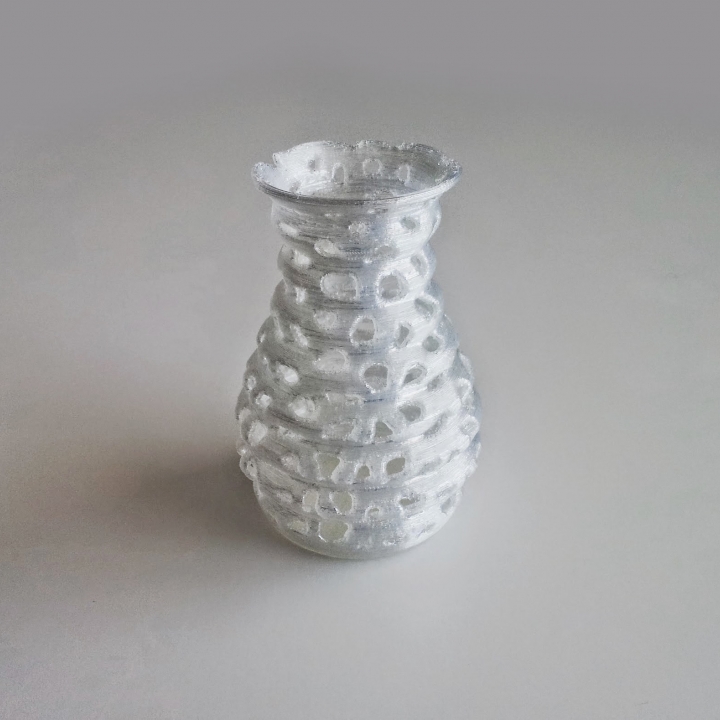 Voronoi Form Vase 1 image