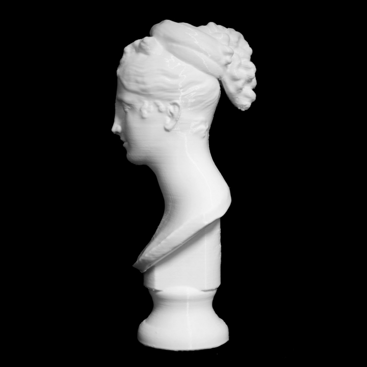 Ideal Head of a Woman at The Kimbell Art Museum, Fort Worth, America image