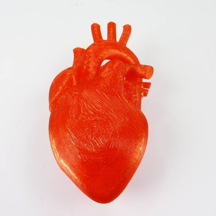 Human Heart image