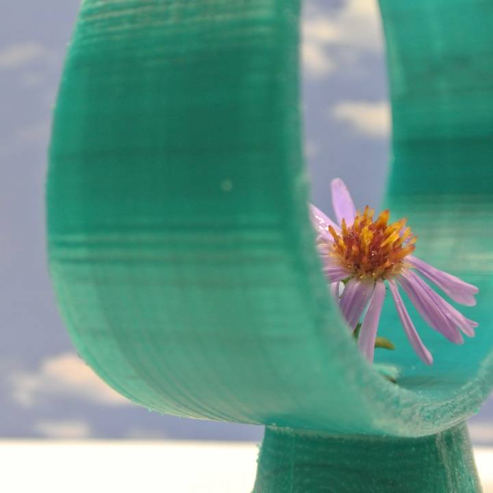 LOOP Vase by Jaya Varmn image