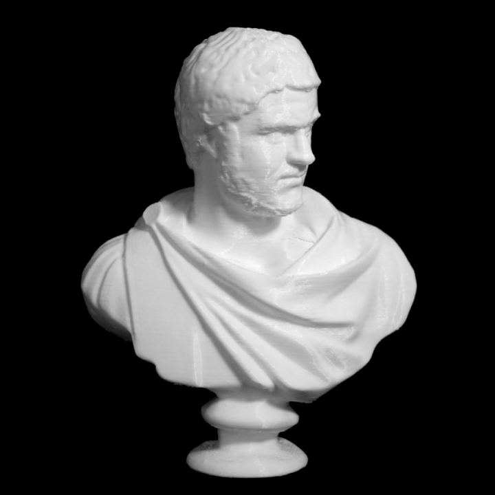 Emperor Caracalla at The Louvre, Paris image