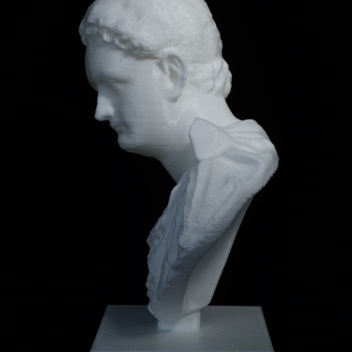 Portrait bust of Emperor Domitian at The Metropolitan Museum of Art, New York image