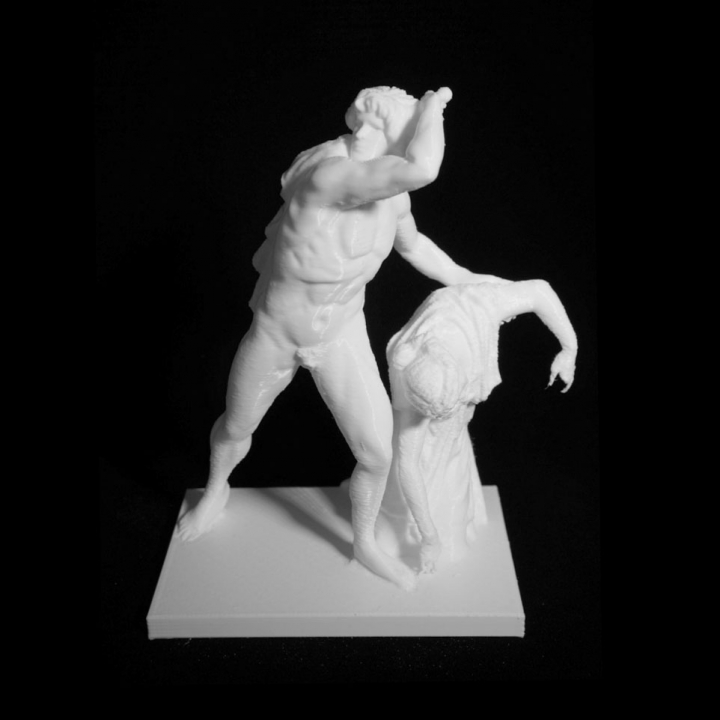 The Ludovisi Gaul Killing Himself and His Wife at The Palazzo Altemps, Rome image