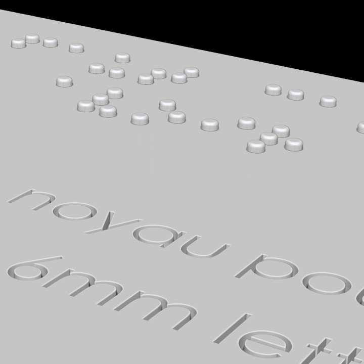 Plautus Braille Sample - 3D Print image
