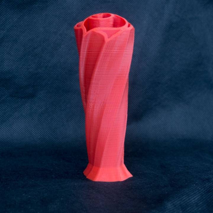 Twisted Rose Vase image