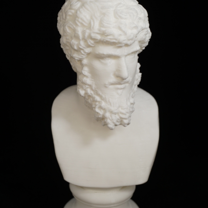 Bust of Lucius Verus at The Réunion des Musées Nationaux, Paris image