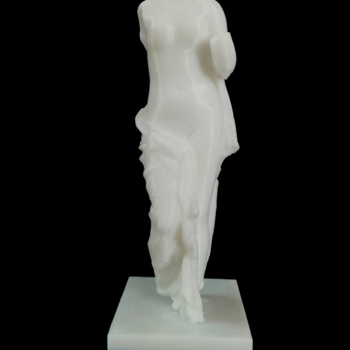 Fragment of The Venus of Arles at The Réunion des Musées Nationaux, Paris image