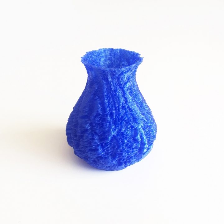 Sponge Vase # 1 image