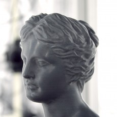 Picture of print of Head of Venus at The Réunion des Musées Nationaux, Paris