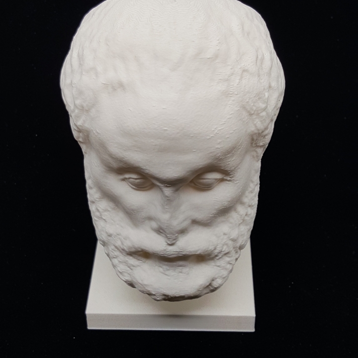 Marble Head of a Philosopher at The Metropolitan Museum of Art, New York image