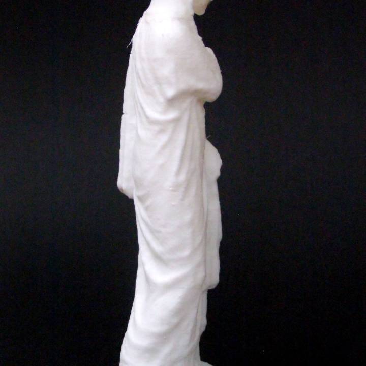 Figure of a Woman at The Dallas Museum of Art, Texas image