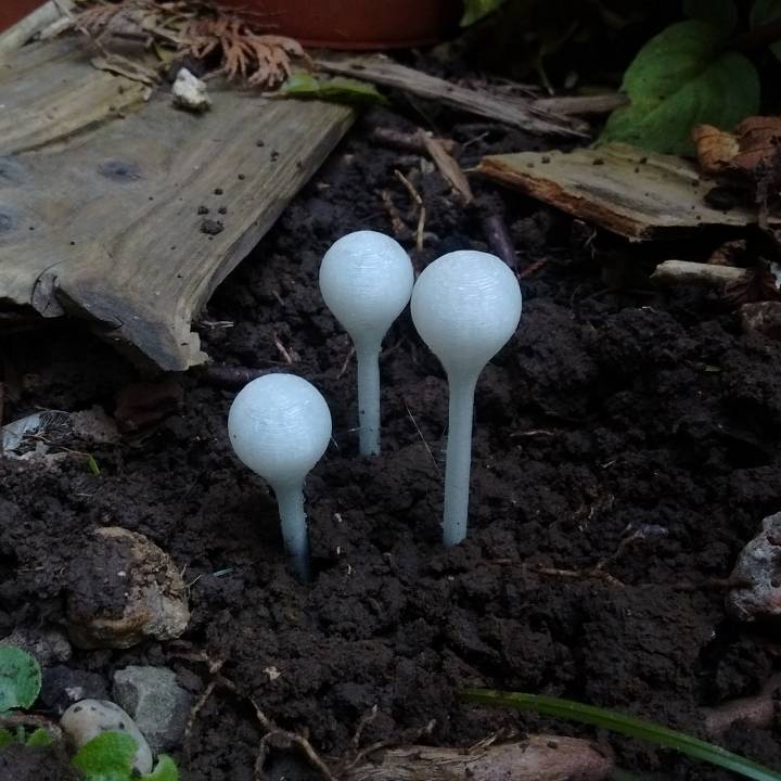 Alien garden - Floating dew drops image