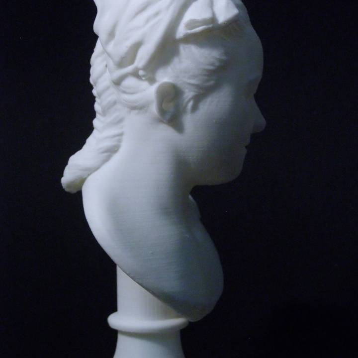 Madame Favart at The Louvre, Paris image