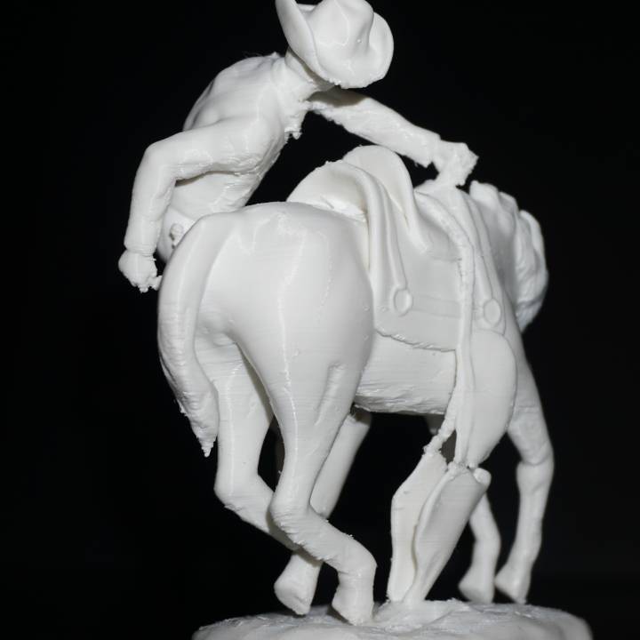 Rough Rider From the Rees-Jones Collection at The Amon Carter Museum in Fort Worth, Texas image