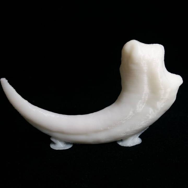 3D Printable Velociraptor dinosaur claw by Juliane Hinz