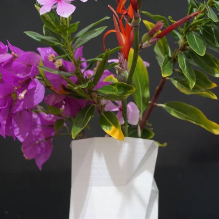 alastair's smart vase/cup image