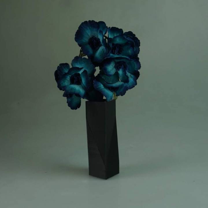 Louisa's elegant vase image