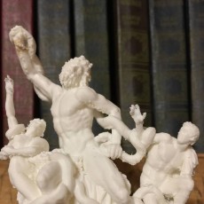 Picture of print of The Laocoön Group at The Vatican Museums, Vatican City