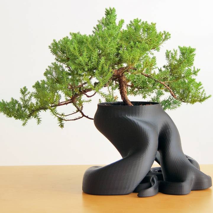 gCreate Bonsai Root Planter image