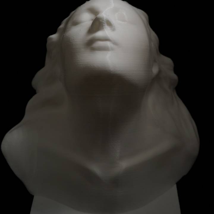 Bust of Eleonora Duse at The Gallery of Modern Art of the Palazzo Pitti in Florence, Italy image
