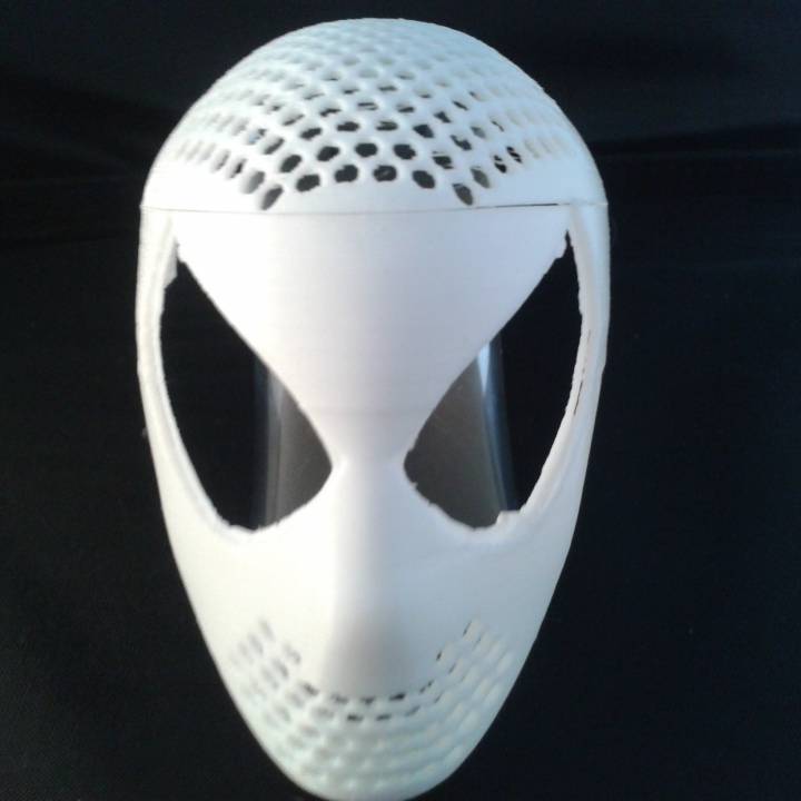 spiderman / venom faceshell mask image