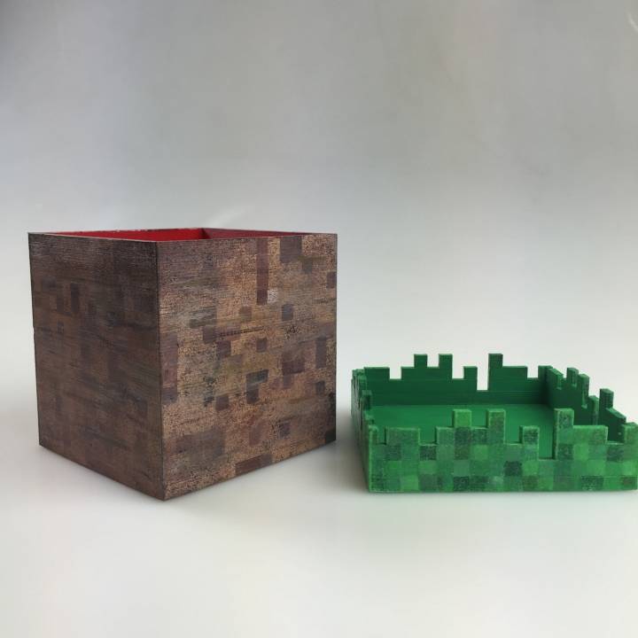 Minecraft Box image