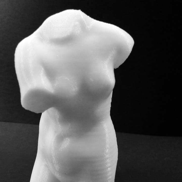 Torso of Venus de MIlo at The Réunion des Musées Nationaux, Paris image