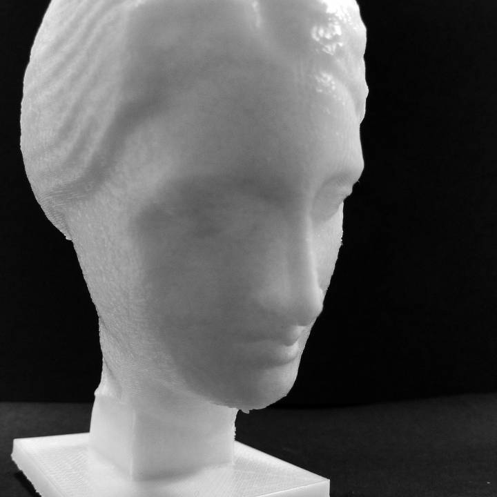 Head of Venus at The Réunion des Musées Nationaux, Paris image
