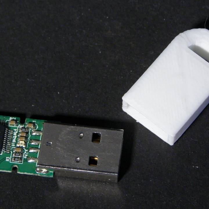 USB memory stick holder (larger version) image