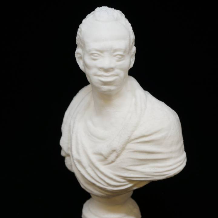 Bust of an African Man at The Wallace Collection, United Kingdom image