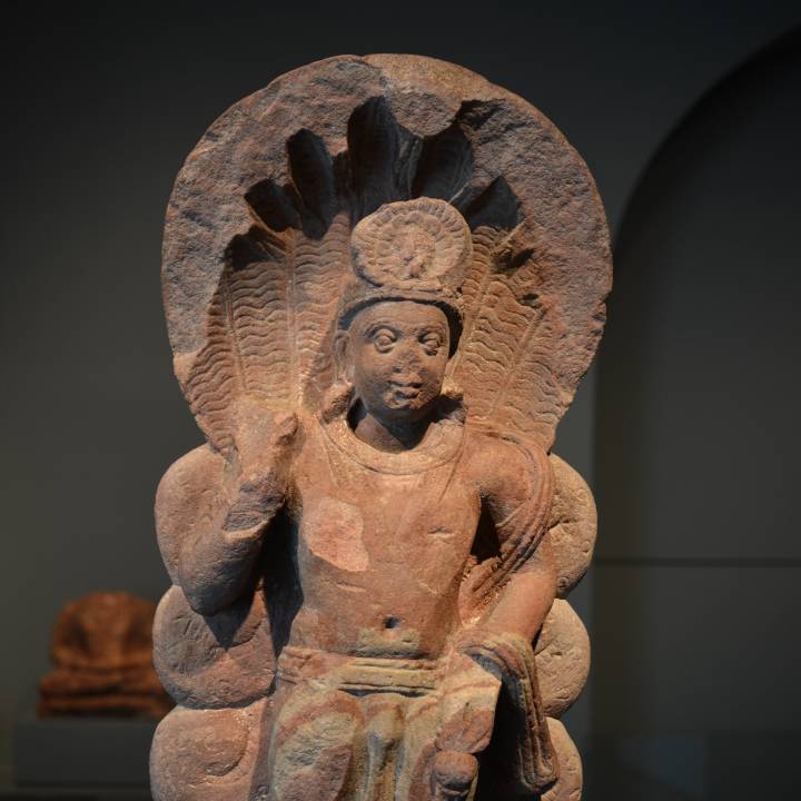 Bodhisattva under an Eight Headed Naga at The Art Institute of Chicago, Illinois image