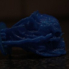 Picture of print of Great Skull Ring