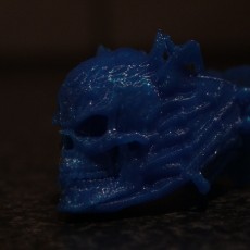 Picture of print of Great Skull Ring