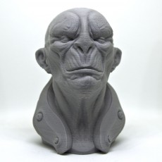 Picture of print of General Zhil Sci-Fi Bust
