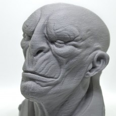 Picture of print of General Zhil Sci-Fi Bust