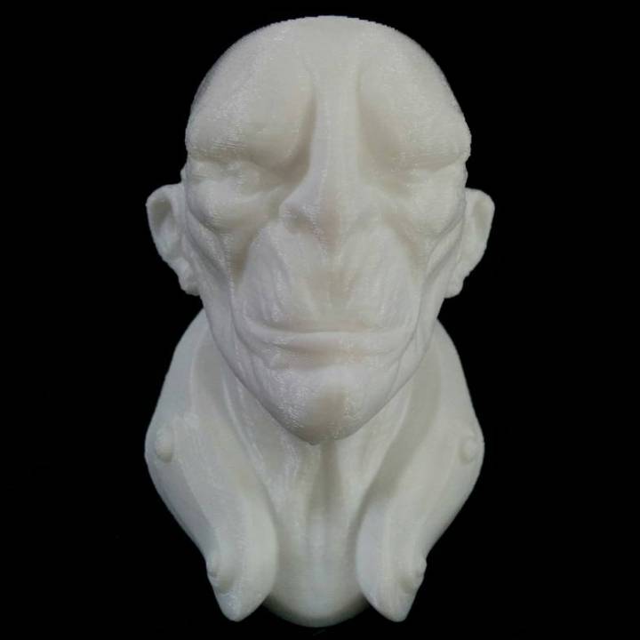 General Zhil Sci-Fi Bust image