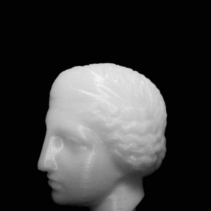 Head of Venus at The Réunion des Musées Nationaux, Paris image