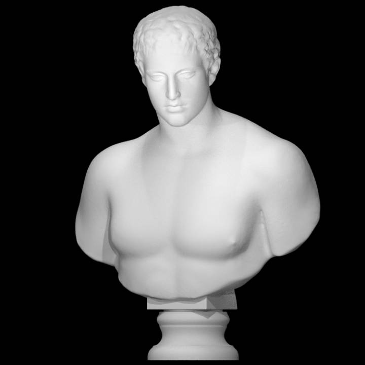 Bust of a Youth at The Reunion des Musees Nationaux, Paris image