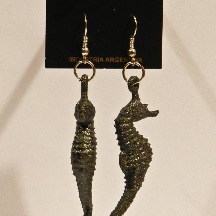 Seahorse Earrings image