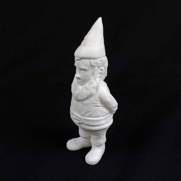 MyMiniYou Rees - Gnome image