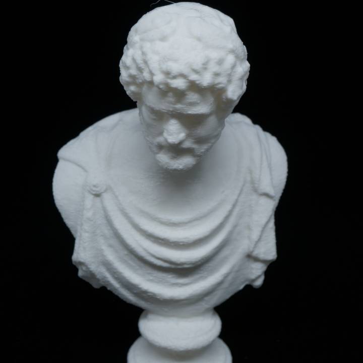 Bust of Antoninus Pius at The Louvre, Paris image