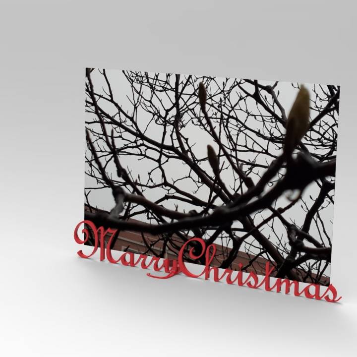 MarryChristmas picture frame image