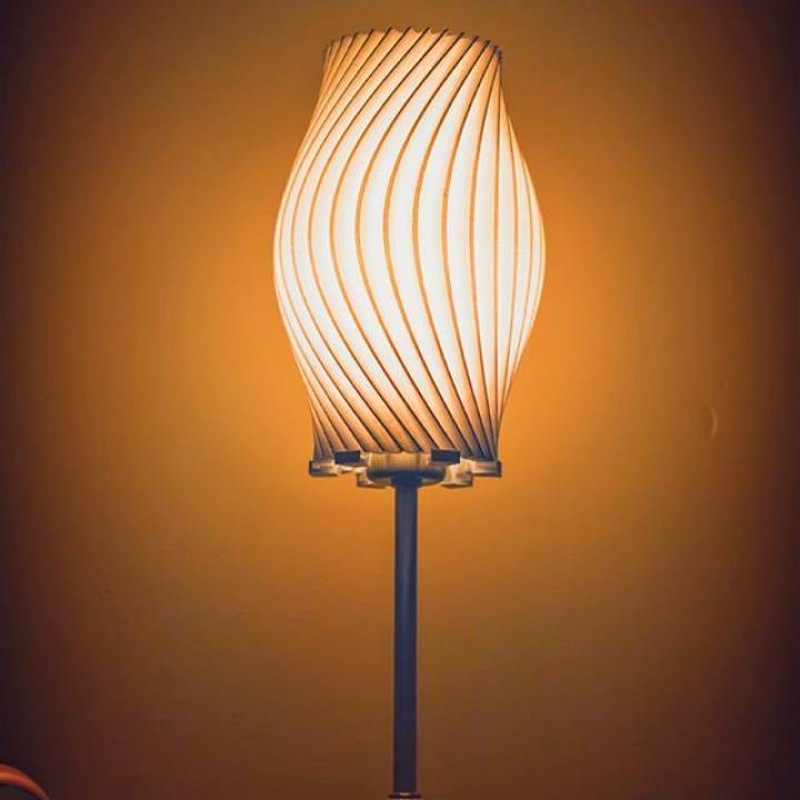 Twisted Lamp Shade image